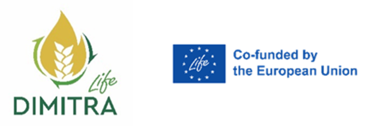 Logo: Dimitra, Co-funded by European Union